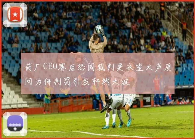 药厂CEO赛后怒闯裁判更衣室大声质问为何判罚引发轩然大波
