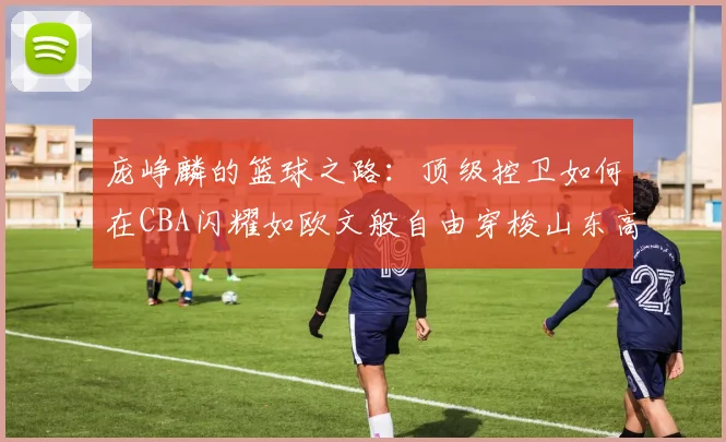 庞峥麟的篮球之路：顶级控卫如何在CBA闪耀如欧文般自由穿梭山东高速