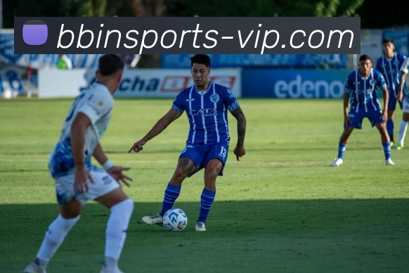 BBIN体育平台生态图